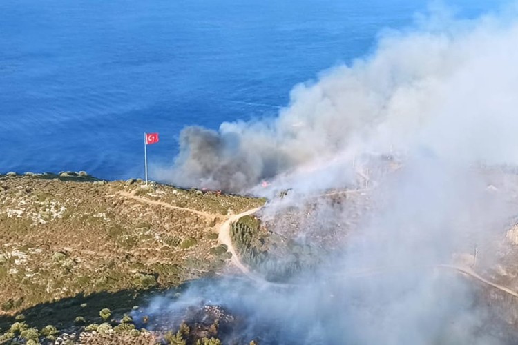 Datça'da yangında 25 hektarlık alan zarar gördü