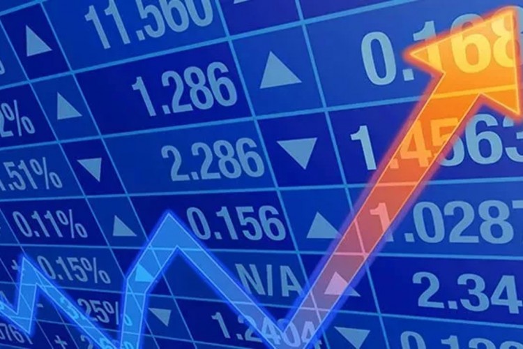 Dolar, euro ve altın kazandırdı, borsa kaybettirdi