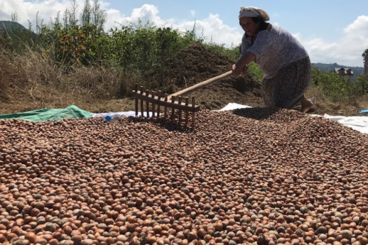 Belge teslim tarihleri değişti