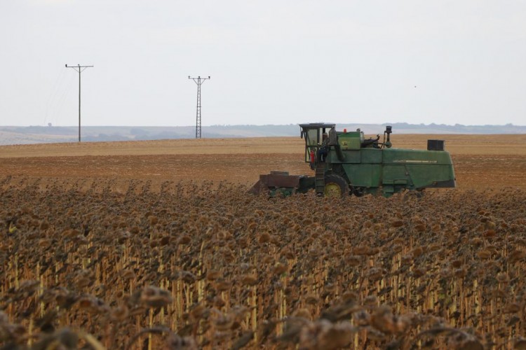 Çiftçilere tarımsal destek ödemesi bugün yapılacak
