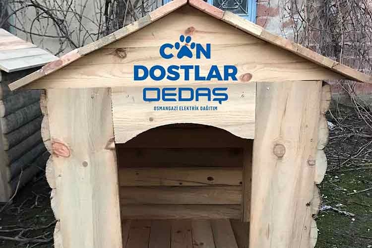 Can Dostlar projesine uluslararası bir ödül daha