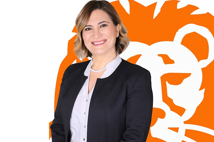 ING Leasing Genel Müdürlüğüne Hüsniye Ulu atandı
