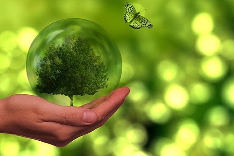 Sürdürülebilirliğin Sorumlu Mühendisleri