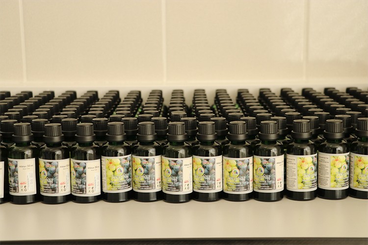 Tekirdağ'da üzüm çekirdekleri ekonomiye kazandırılıyor