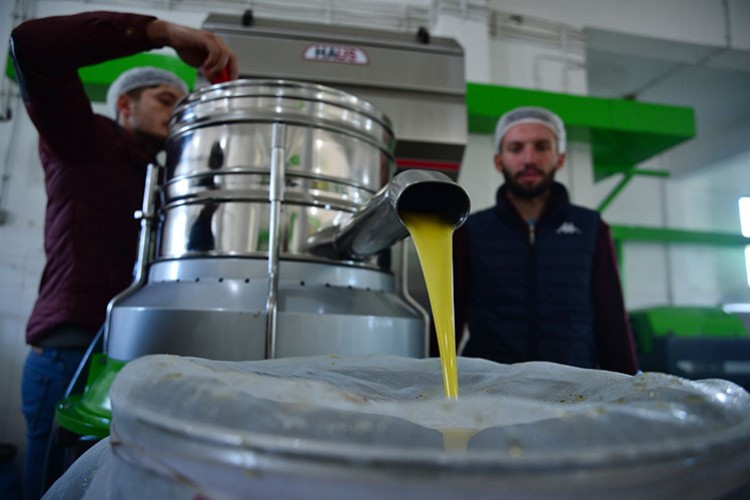 Zeytinyağı fabrikası kurdular