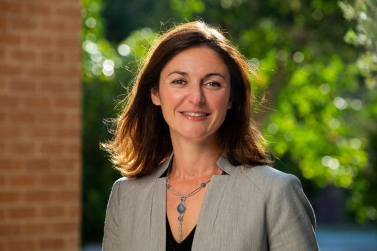 Zihinler projeyle buluşuyor