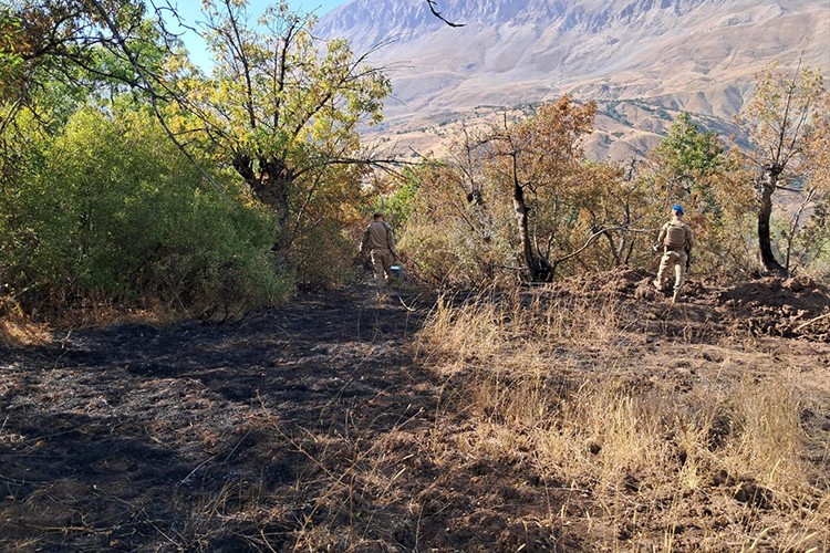 Tunceli'de ormanlık alanlarda çıkan yangınlar söndürüldü