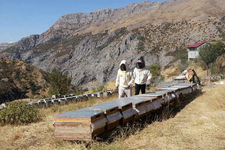 Ailesiyle yalnız yaşadığı köyde yılda 2,5 ton bal üretiyor