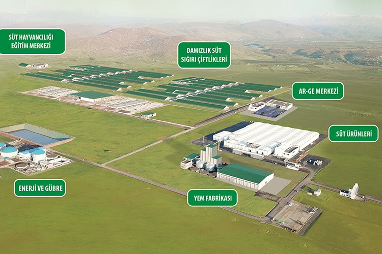 Sütün bereketi Bingöl'e hayat veriyor