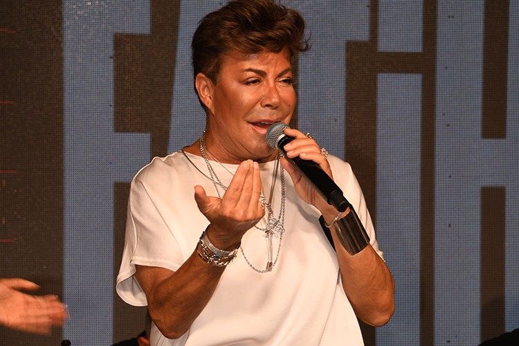 Esprili şekilde sivrisinek sitemi