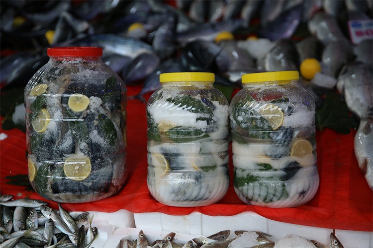 Karadeniz'de palamut salamurası sezonu başladı