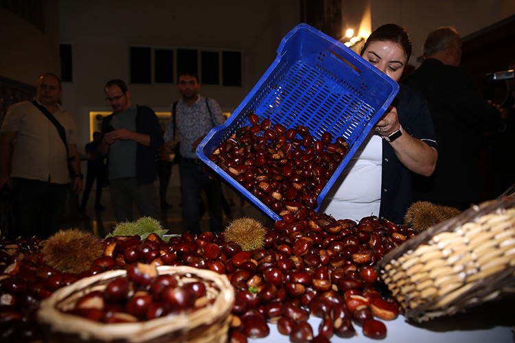 Aydın'da sezonun ilk kestanesi 350 liradan satıldı