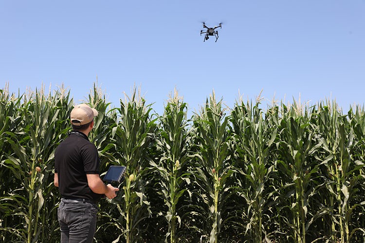 Tohum üreticisine 20 milyon avro yatırım desteği