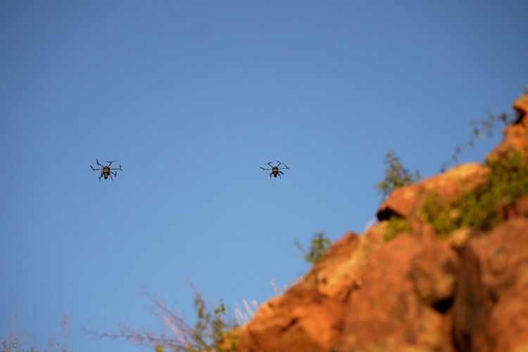 TOHUM TOPU PROJESİ İLE TAŞRADA YAŞAYAN KADINLAR DOĞAYI KORUYOR