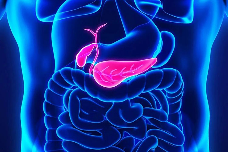 Pankreas kanserinde erken tanı hayati önem taşıyor