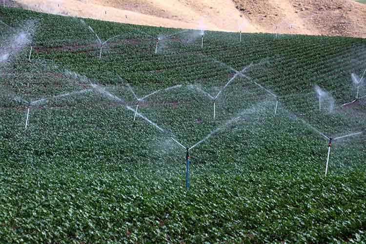 Tarımsal sulamada israfın önüne geçilecek
