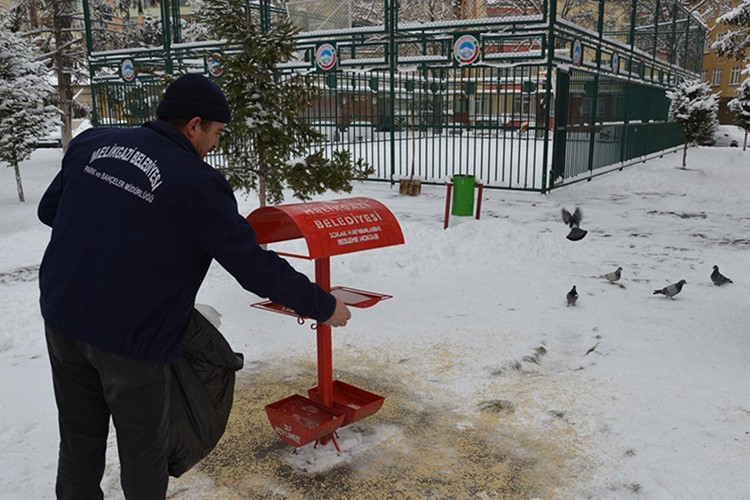 Melikgazi'de sokak hayvanları unutulmadı