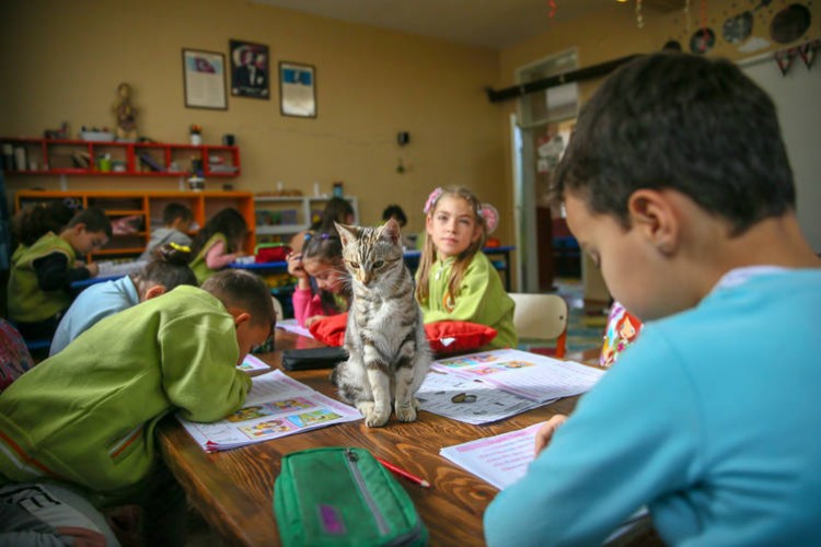 İzmir'in Çalıkuşu köy çocuklarına umut oldu