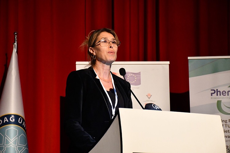 "Zeytin, Zeytinyağı Çalıştayı" düzenlendi