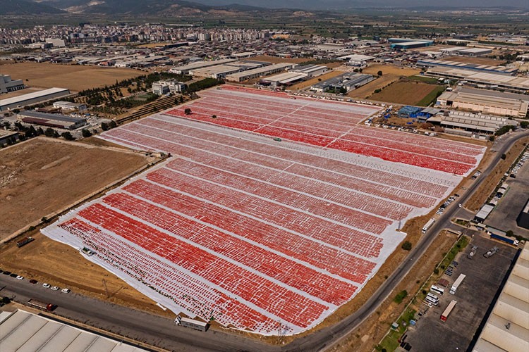 Kavurucu sıcakta kuru domates mesaisi başladı