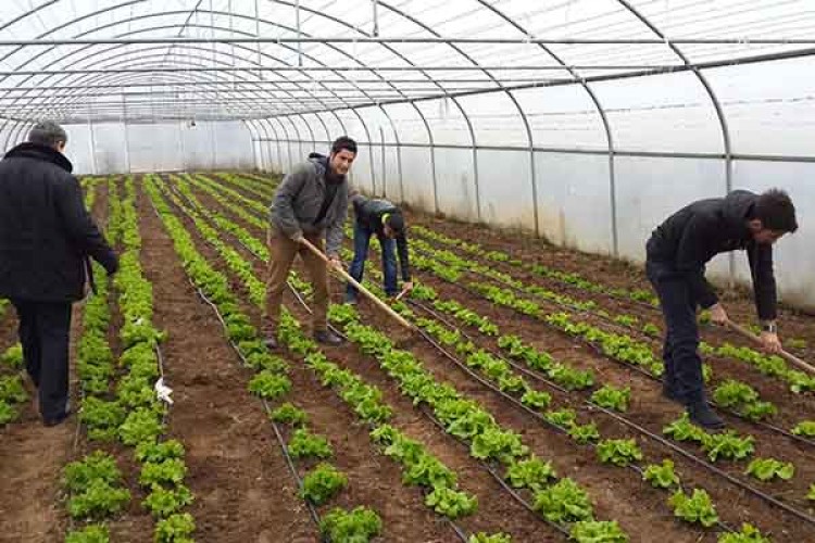 Gözlerini Avrupa'ya diktiler