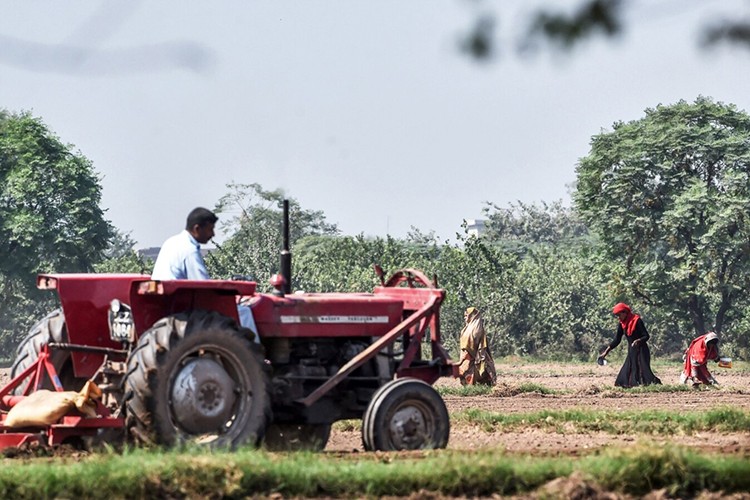Gıda fiyatları artıyor, çiftçi sayısı azalıyor