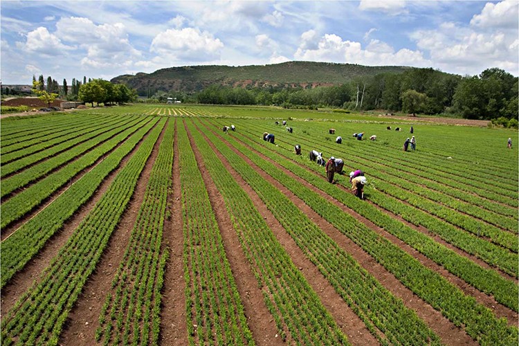 AB önümüzü kapatmaya çalıştı