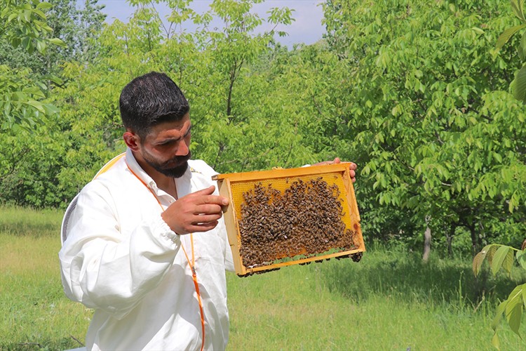 Arıcılığa başlayan girişimci, siparişlere yetişmekte zorlanıyor