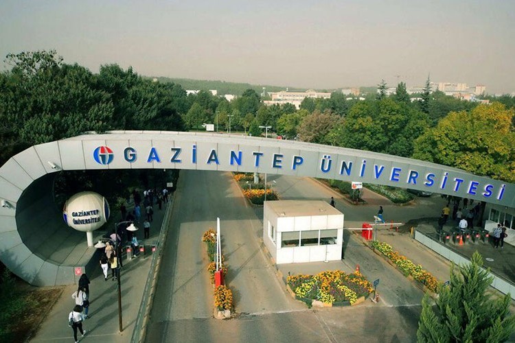 Akademisyen alınacak