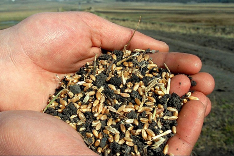 Tarımda "süslü" ticaret yüz güldürdü