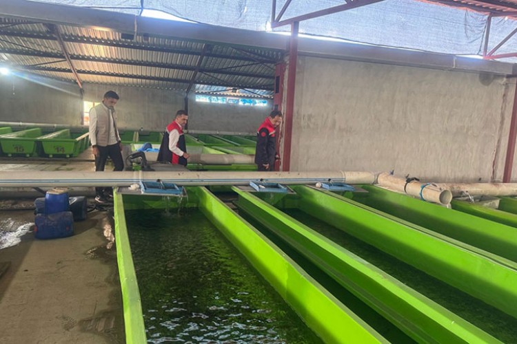 Erzincan'da su ürünlerinde üretim kapasitesi artıyor