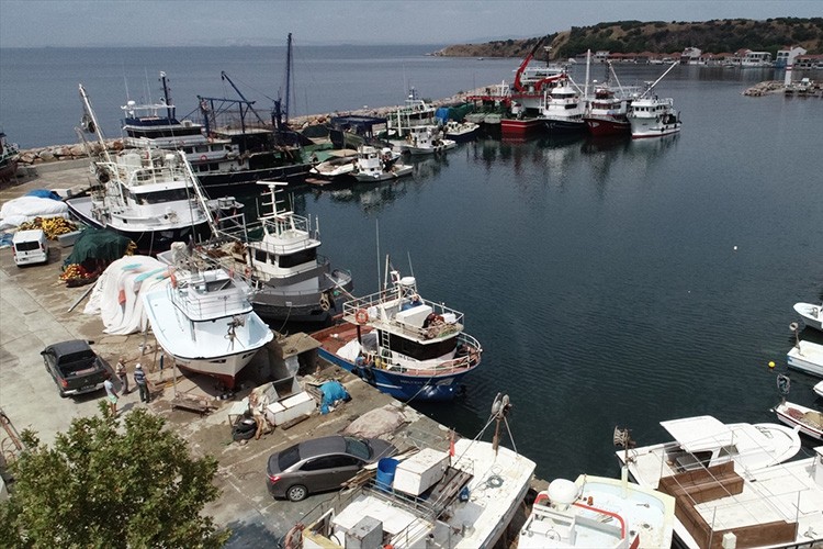 Ağlarını palamut ve lüferle doldurmayı umuyor