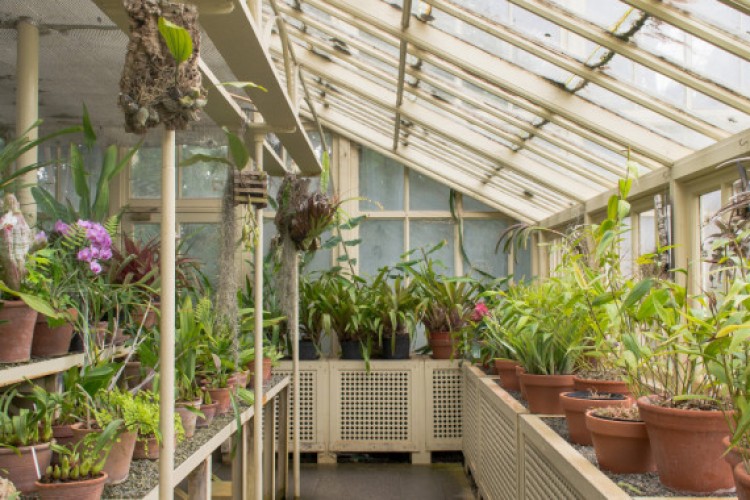 Botanik bahçesi yapılacak