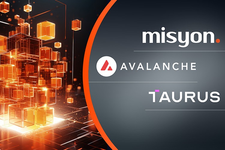 Misyon Bank'tan Kripto Devi Avalanche ile Tokenizasyon Alanında Öncü Adım