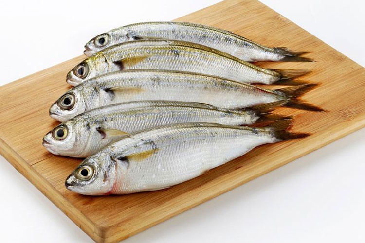 İki balık türü gıda amaçlı tescillendi