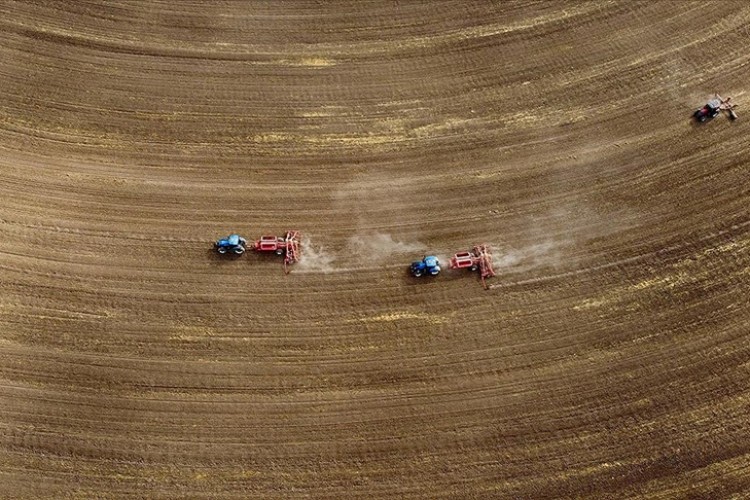 Çiftçilere 2023'te 63,4 milyar lira tarımsal destekleme ödemesi yapıldı