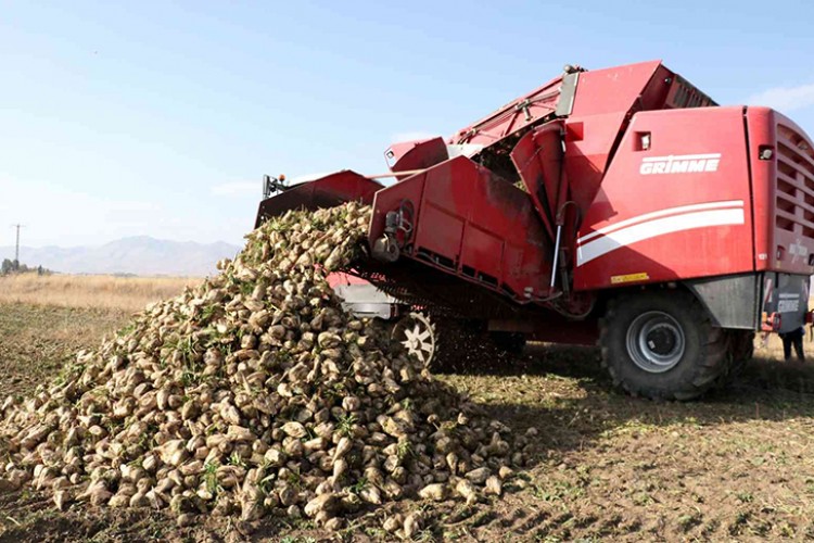 Şeker spekülasyonu tek hamleyle bitti!