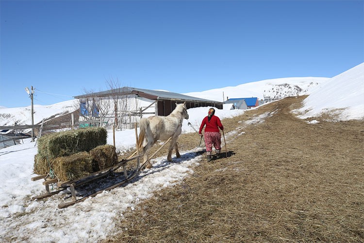 Kırsalda besicilik yapan kadınlar, hayatın zorluklarına göğüs geriyor