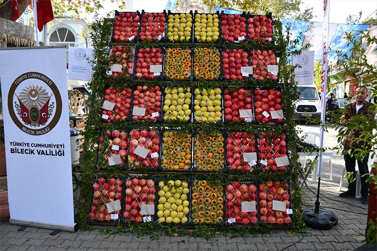 Bilecik'te "5. İnhisar Nar Festivali" düzenlendi