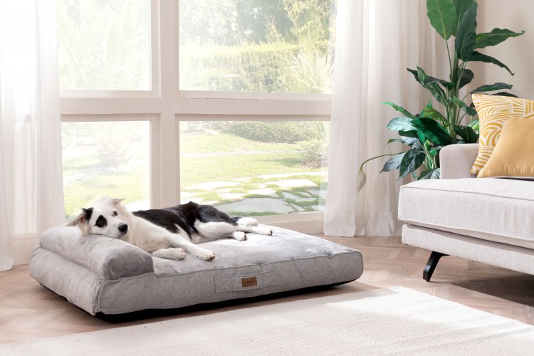 Patili Dostlarınız da Yataş'la İyi Uyusun!