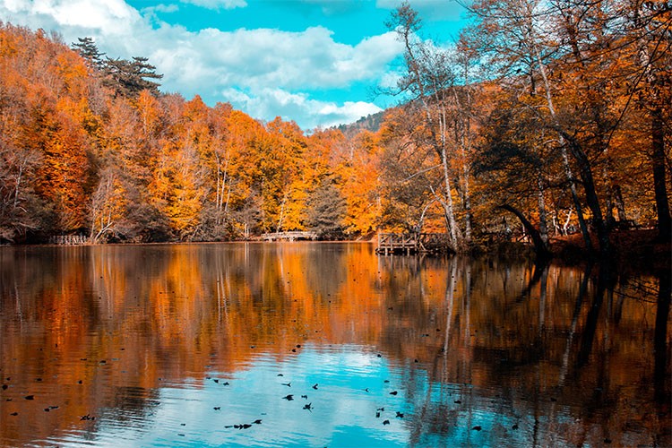 İstanbul'a yakın sonbahar rotaları