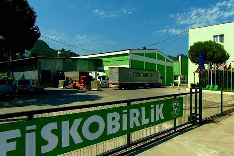 FİSKOBİRLİK fındık alımlarına başladı