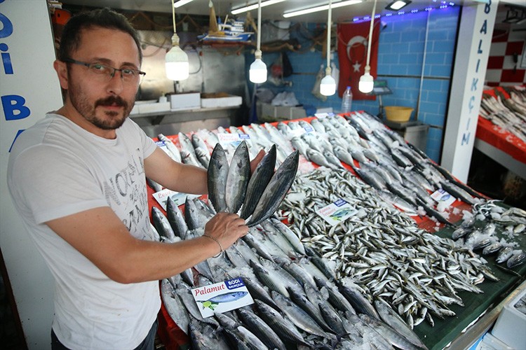 Ordu'da balıkçı tezgahları şenlendi