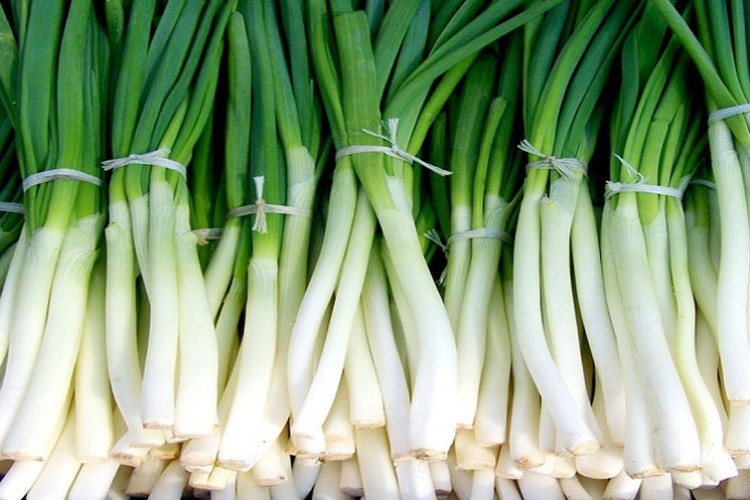 Çamurdan temizlenen yeşil soğan sofraları süslüyor