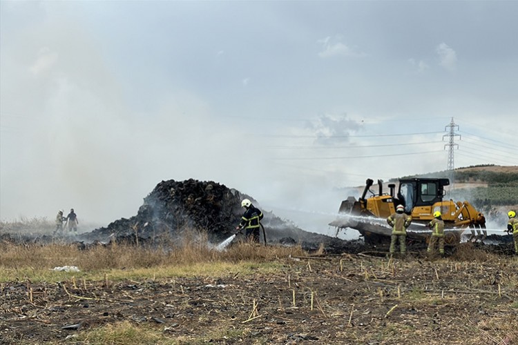 Bursa'da otluk alanda çıkan yangın söndürüldü