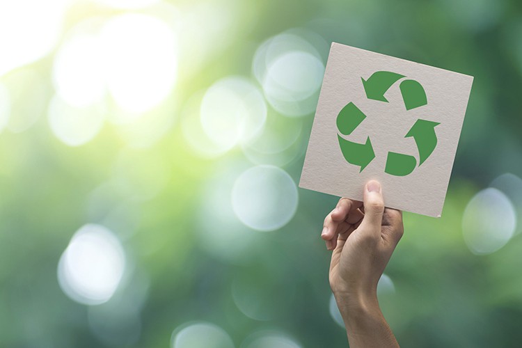 Yeşil Mutabakat Çalışma Grubu kuruldu