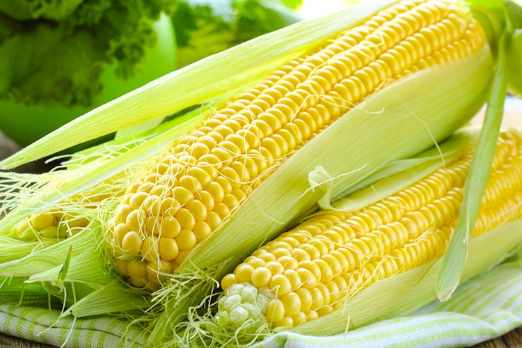 Yatırımcıyı sevindirdi