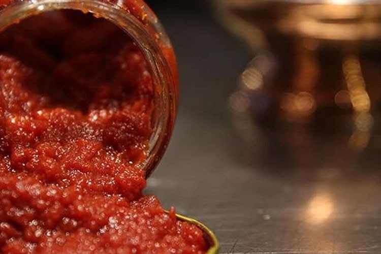 Bazı salça üretimi yapan işletmenin faaliyetleri durduruldu