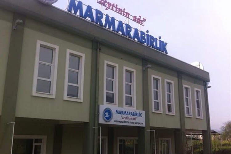 Marmarabirlik'in 2021 cirosu 918 milyon lira