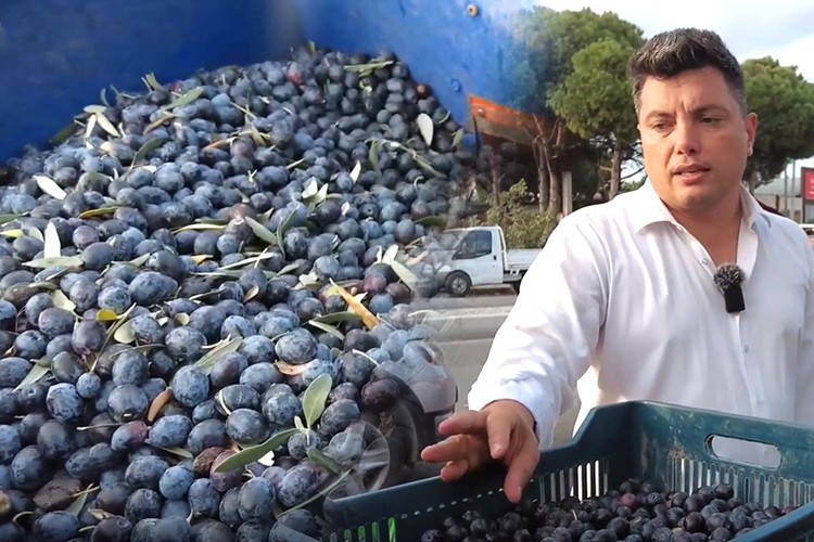 Hileli zeytinyağına dikkat